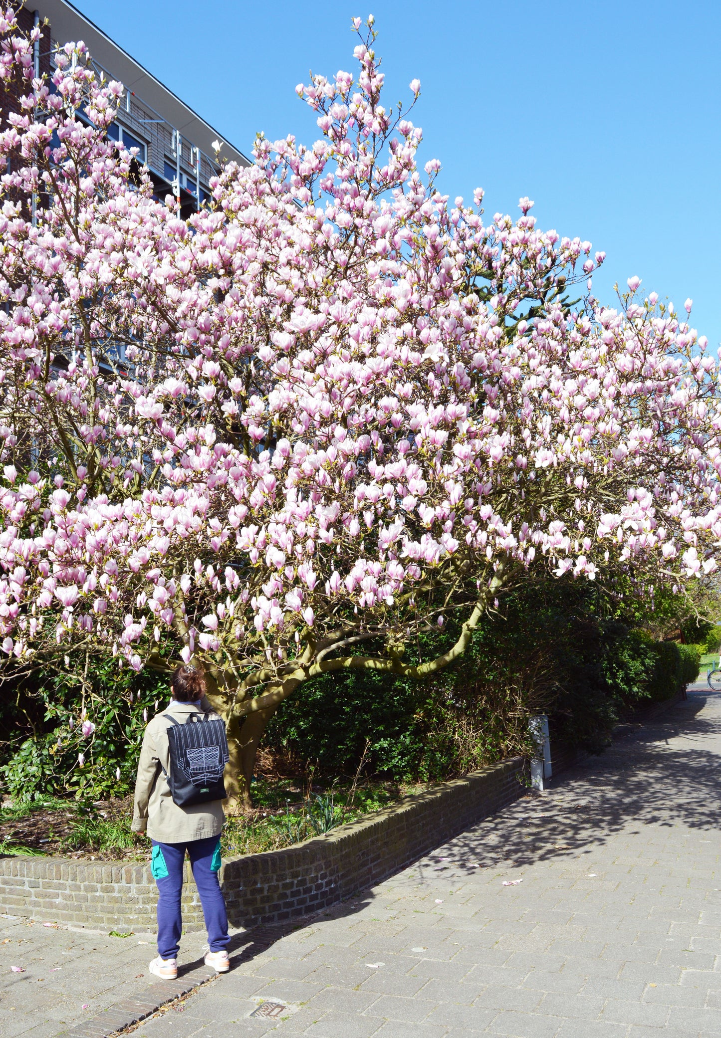 Backpack unisex waterproof water resistant cordura black hipster backpack rucksack cycling bag everyday large backpack Zurichtoren geometric